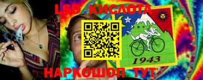a pvp Кингисепп