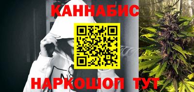 a pvp Кингисепп