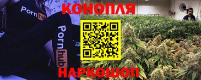 ГАЛЛЮЦИНОГЕННЫЕ ГРИБЫ Кимры